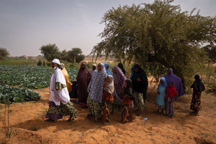 Archivo - Un grupo de mujeres y niñas con velo por un camino de la aldea de Ganguel, a 11 de enero de 2023, en Ganguel, Sokoto, Níger (África). El ministro de Asuntos Exteriores del Gobierno de España ha realizado un viaje a tres países de África donde ha