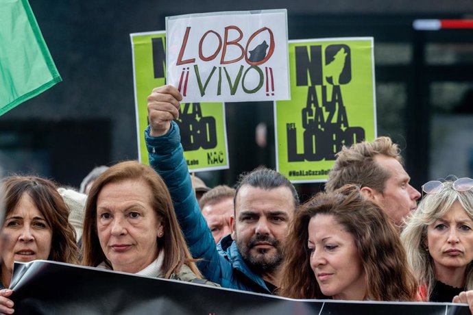 Archivo - Decenas de personas durante la concentración ‘Salvar al lobo ibérico’, en la Plaza de Callao, a 5 de abril de 2025, en Madrid (España). PACMA ha convocado la manifestación para protestar contra la apertura de la veda de caza del lobo ibérico al 