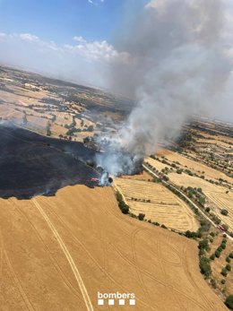 Incendio agrícola en Granyena de Segarra (Lleida)