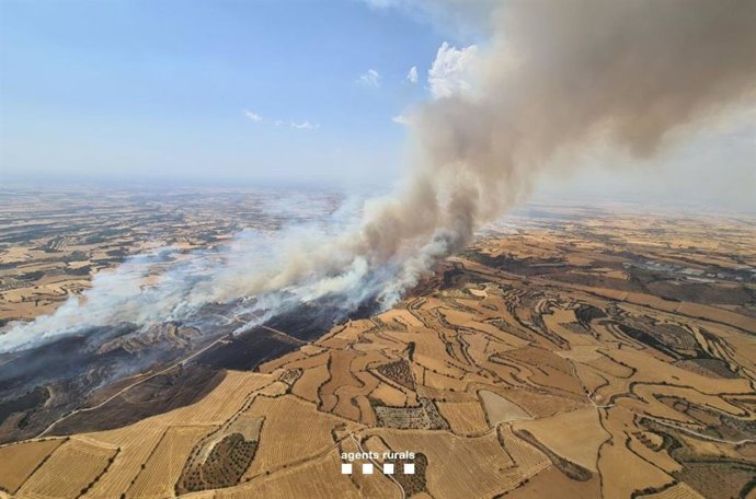 Incendio en Granyena de Segarra (Lleida)