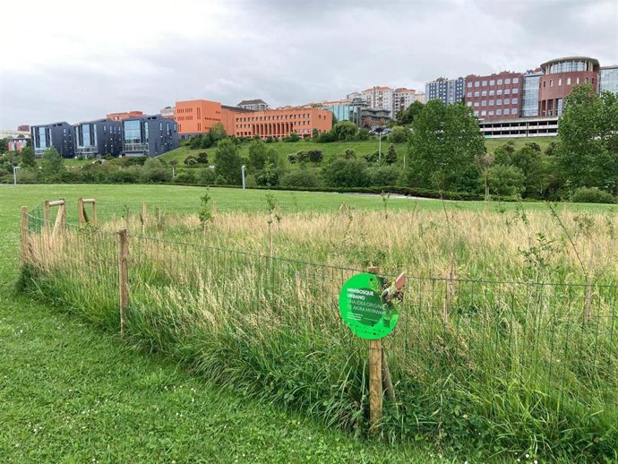 Santander reduce las siegas en las praderas para favorecer la biodiversidad urbana