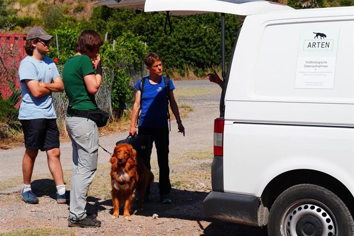 Adiestran perros rastreadores para detectar la presencia de especies invasoras de galápagos