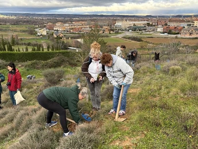 Amigos de la Tierra critica que el Ayuntamiento de Logroño "da la espalda al medioambiente"