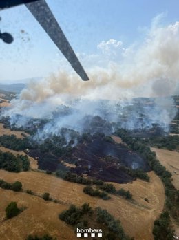Incendio de vegetación en Pinell de Solsonès (Lleida)