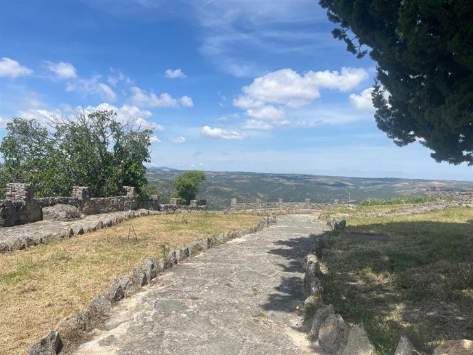 I Jornadas Internacionales Sobre Paisajes Históricos Del Viñedo