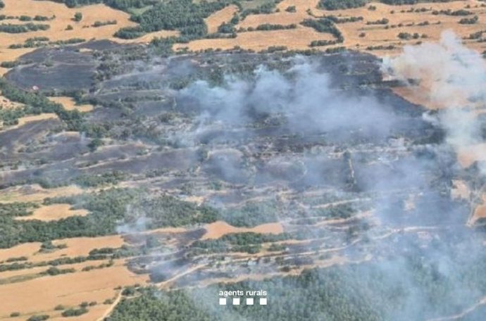 El incendio entre Pinell de Solsonès y Torrefeta i Florejacs (Lleida) afecta 26,84 hectáreas
