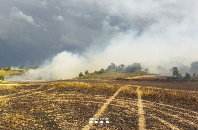 Incendio en Oliola (Lleida) que afecta unas 15 hectáreas