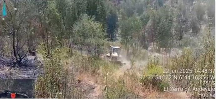 Efectivos del Plan Infoca luchan contra el incendio declarado en un paraje de Zalamea la Real (Huelva)