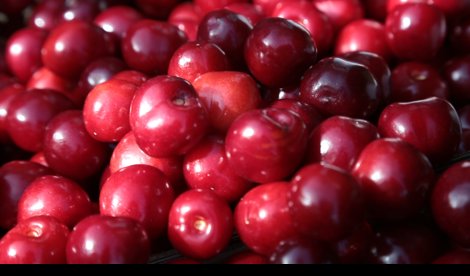 Comunicados Sociedad