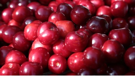 Comunicados Sociedad