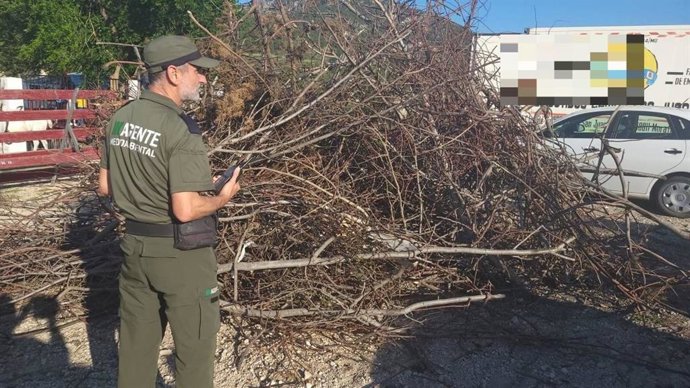 Agentes Medio Ambientales durante el operativo dispuesto en 2024 con motivo de las Hogueras de San Juan