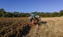 Fallece el conductor de un tractor al volcar su vehículo en Villaverde del Río (Sevilla)