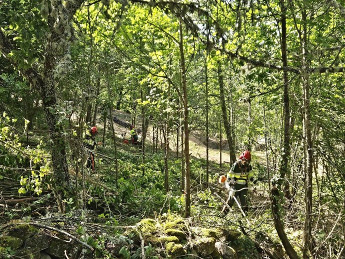 Imagen de las labores de prevención de incendios realizadas en la localidad leonesa de Langre.