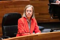 El PP advierte de la "inestabilidad" en la dirección del Hospital de Jarrio