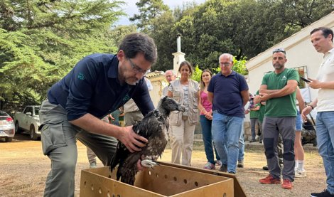 Es Andalucía - Jaén