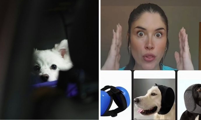 Desconecta