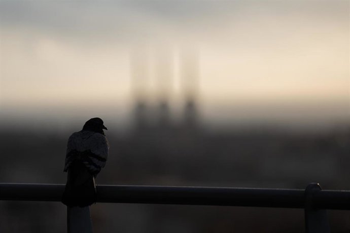 Archivo - Las torres de las Tres Chimeneas de Sant Adrià del Besós desde el Mirador de Torre Baró, a 12 de diciembre de 2024, en Barcelona, Catalunya (España).