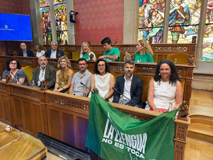 Representantes del PSIB en el pleno del Consell de Mallorca.