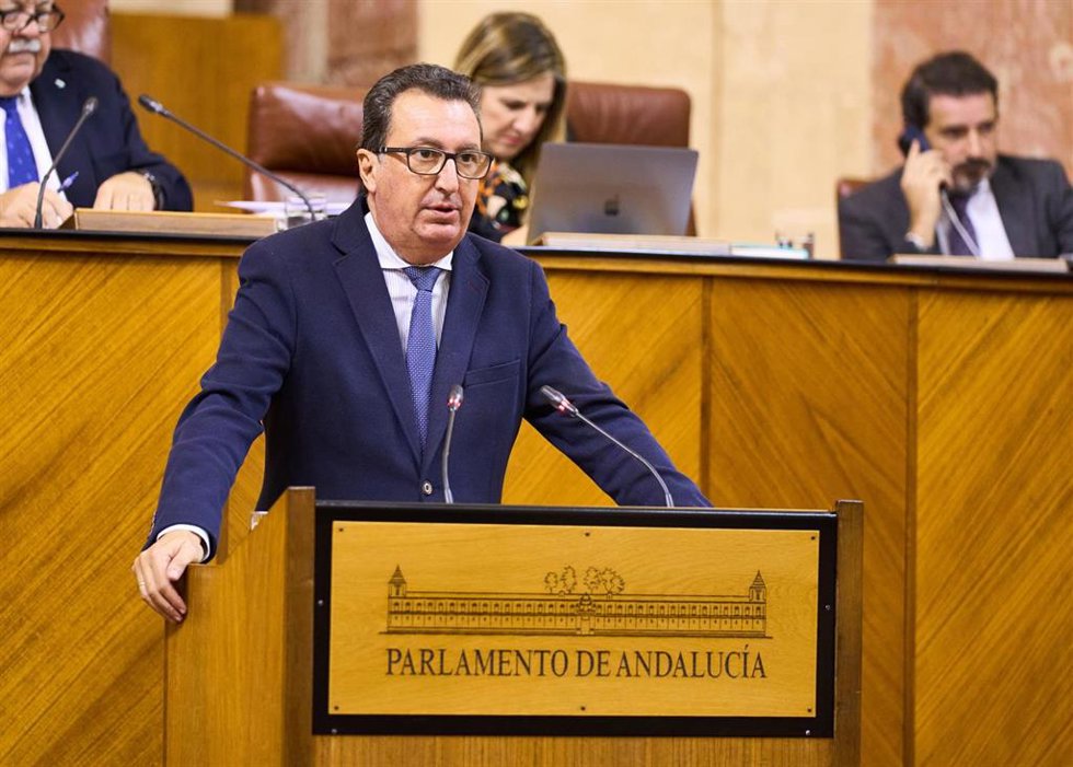 Archivo - El diputado del PP Manuel Andrés González, en una imagen de diciembre de 2023, durante la defensa en el Pleno del Parlamento de la Proposición de Ley sobre regadíos en Doñana.