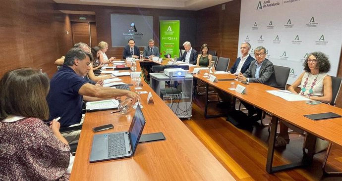 Patronato de la Fundación Descubre.