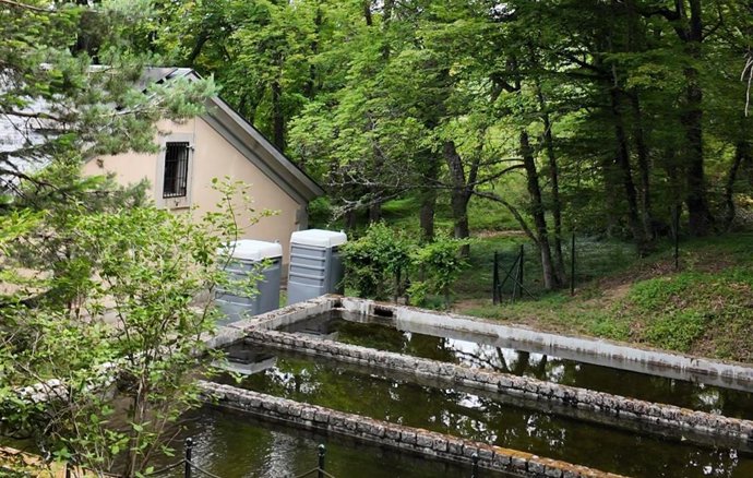 Patrimonio Nacional retoma las visitas guiadas a la histórica piscifactoría de los Jardines de La Granja