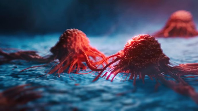 Archivo - Células de cáncer.