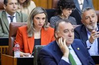 La 'número dos' del PSOE-A presenta una denuncia ante la Fiscalía por el "acoso" y "odio" que sufre en redes sociales