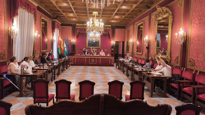 Sesión del Consejo Escolar Municipal de Granada.