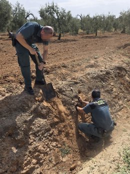 Agentes del Seprona intentan salvar a las aves atrapadas.