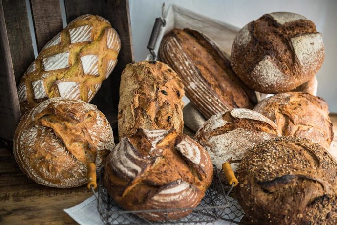 Archivo - Panes de Levaduramadre