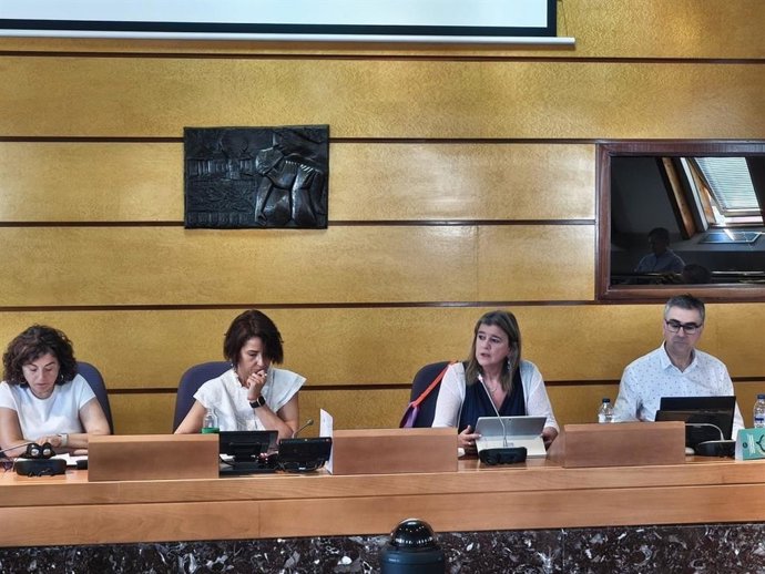 La diputada de Empleo, Cohesión Social e Igualdad, Teresa Laespada, en una comparecencia ante las Juntas Generales de Bizkaia.