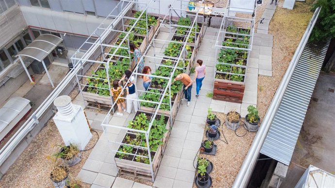 Azotea del ICA-CSIC.