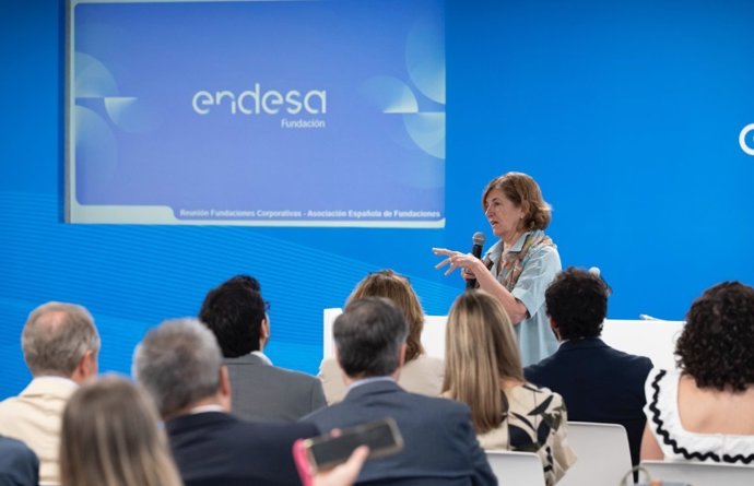 La Asociación Española de Fundaciones (AEF) celebra una jornada en la sede de Endesa en Madrid sobre fundaciones corporativas