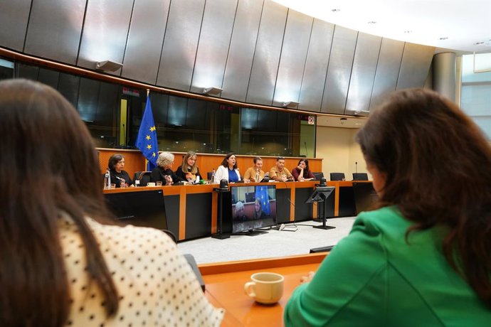 Archivo - Representantes de tres asociaciones de víctimas de la dana recibidas en el Parlamento Europeo