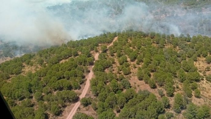 Vista del incendio forestal declarado en Montizón