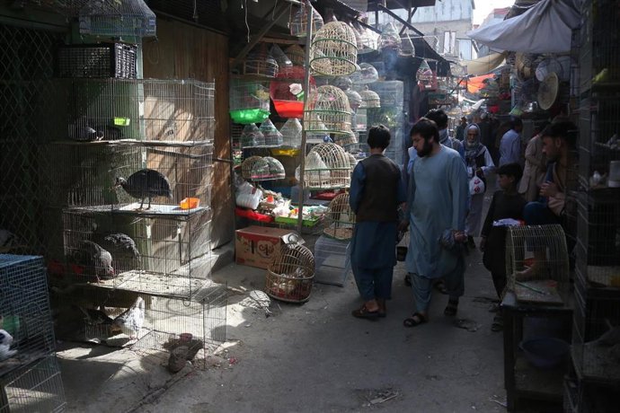 Archivo - Una calle con animales en un mercado de Kabul, Afganistán