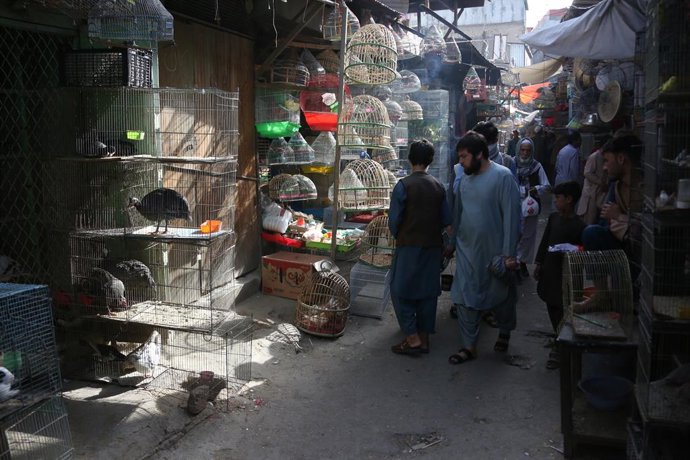 Archivo - KABUL, May 16, 2022  -- Photo taken on May 16, 2022 shows bird shops at the Koch-i-Kah Faroshi (Straw Street) in Kabul, Afghanistan.