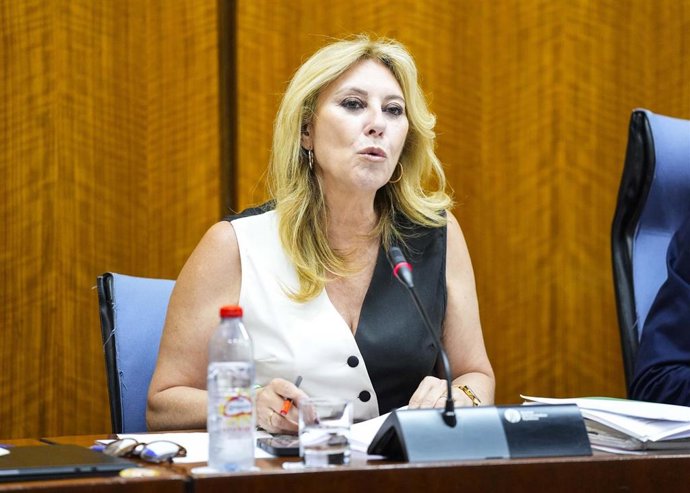La consejera de Economía, Carolina España, este martes durante su comparecencia en comisión.