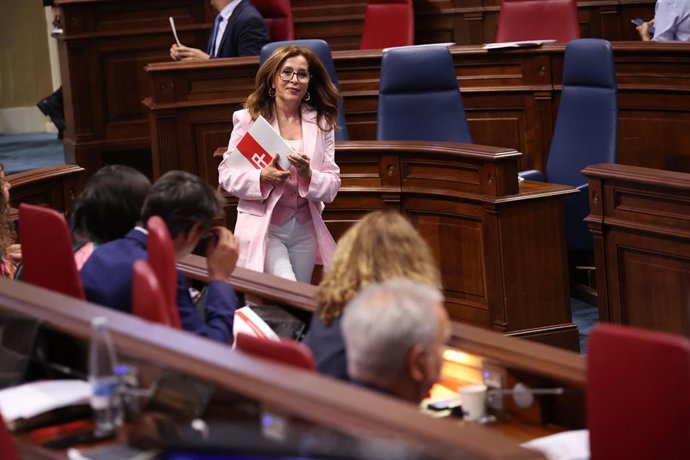La Diputada del Común, Lola Padrón, en la presentación del informe anual ante el Pleno del Parlamento