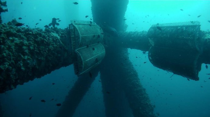 Economía/Finanzas.- La catalana Ocean Ecostructures cierra una ronda de tres millones de euros.