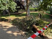 Los bomberos atendieron hasta 120 incidencias por la tormenta del martes en la capital