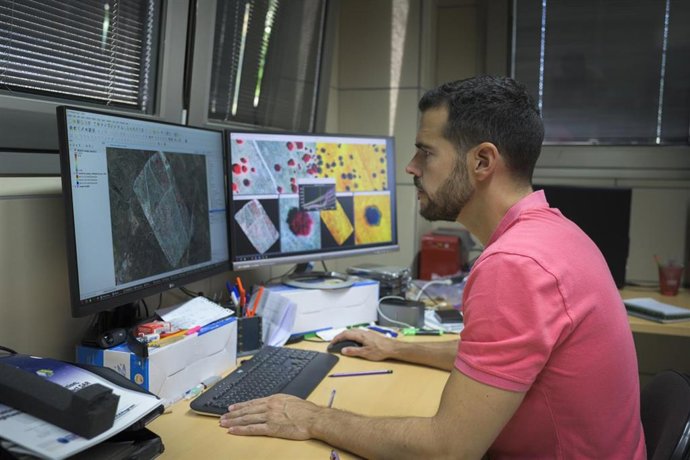 Un proyecto europeo desarrollará un sistema de alerta temprana para prevenir la mortalidad de pinares y encinares