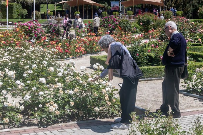 Archivo - Dos personas en la Rosaleda del Parque del Oeste, a 16 de mayo de 2025, en Madrid (España). El Jardín de La Rosaleda de Madrid fue diseñado en 1955 por Ramón Ortiz, jardinero mayor del Ayuntamiento de Madrid. En una extensión de 32 000 m2, en el