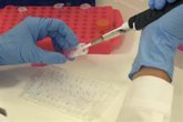 Foto: El 41% de españoles cree que los laboratorios del Gobierno han producido virus para controlar su libertad, según FECYT