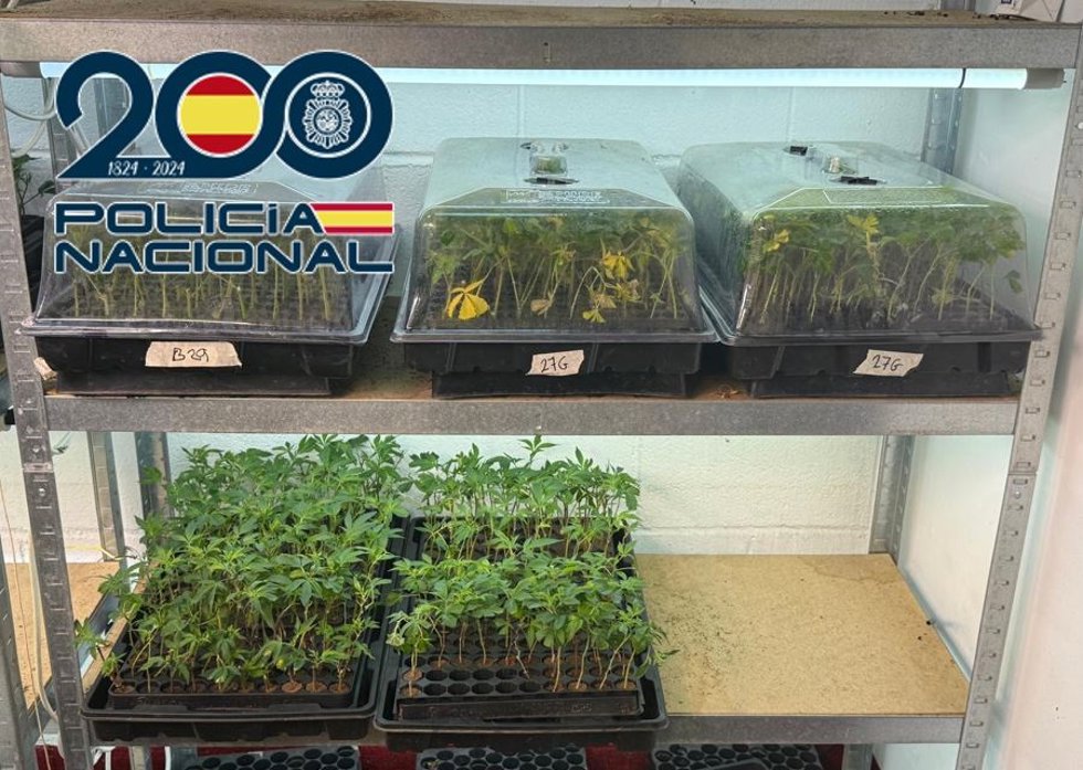 Plantación de marihuana desmantelada en un polígono industrial del área metropolitana de Granada