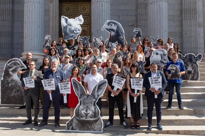 'End The Cage Age' Se Concentra Frente Al Congreso Por El Fin Del Uso De Jaulas En Ganadería