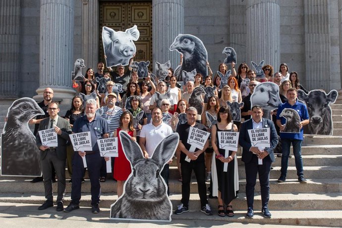 'End The Cage Age' se concentra frente al Congreso por el fin del uso de jaulas en ganadería