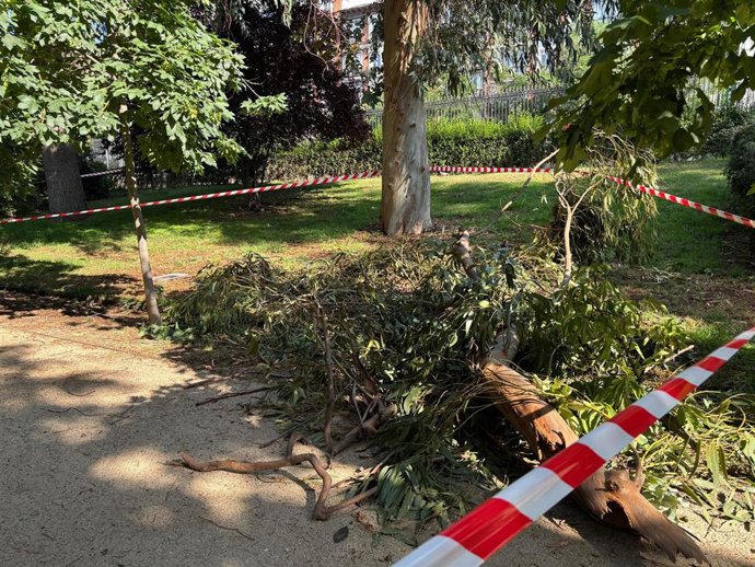 Ramas de árboles caídas en el Parque del Retiro tras la fuerte tormenta