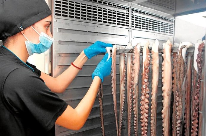 Imagen de una trabajadora inspeccionando los tentáculos de pulpo.