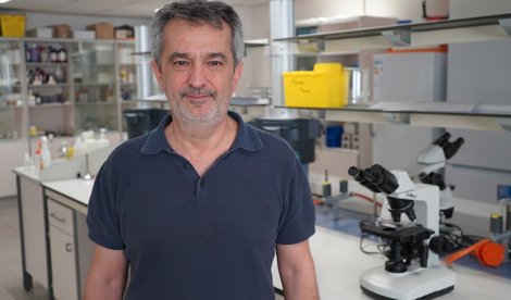Investigación